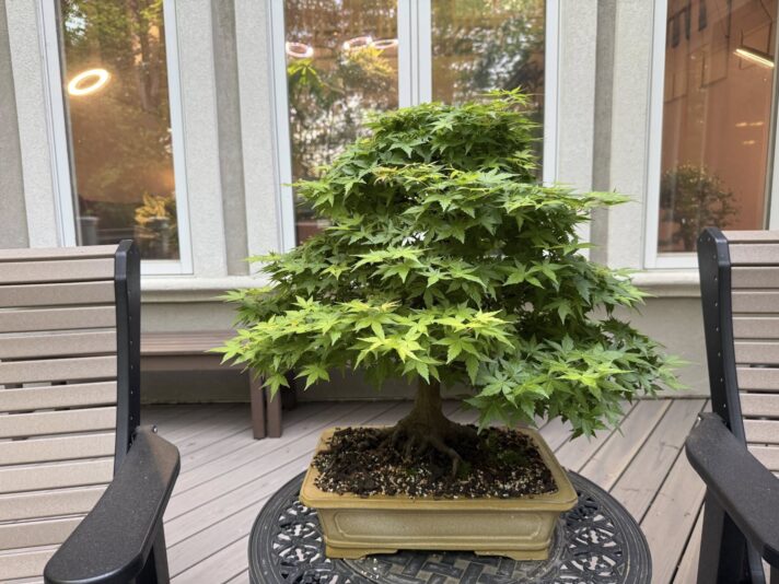 490654399_10162947160967010_6144932282113572428_n