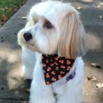 Profile photo of Patricia Flynn & Felice Morgan